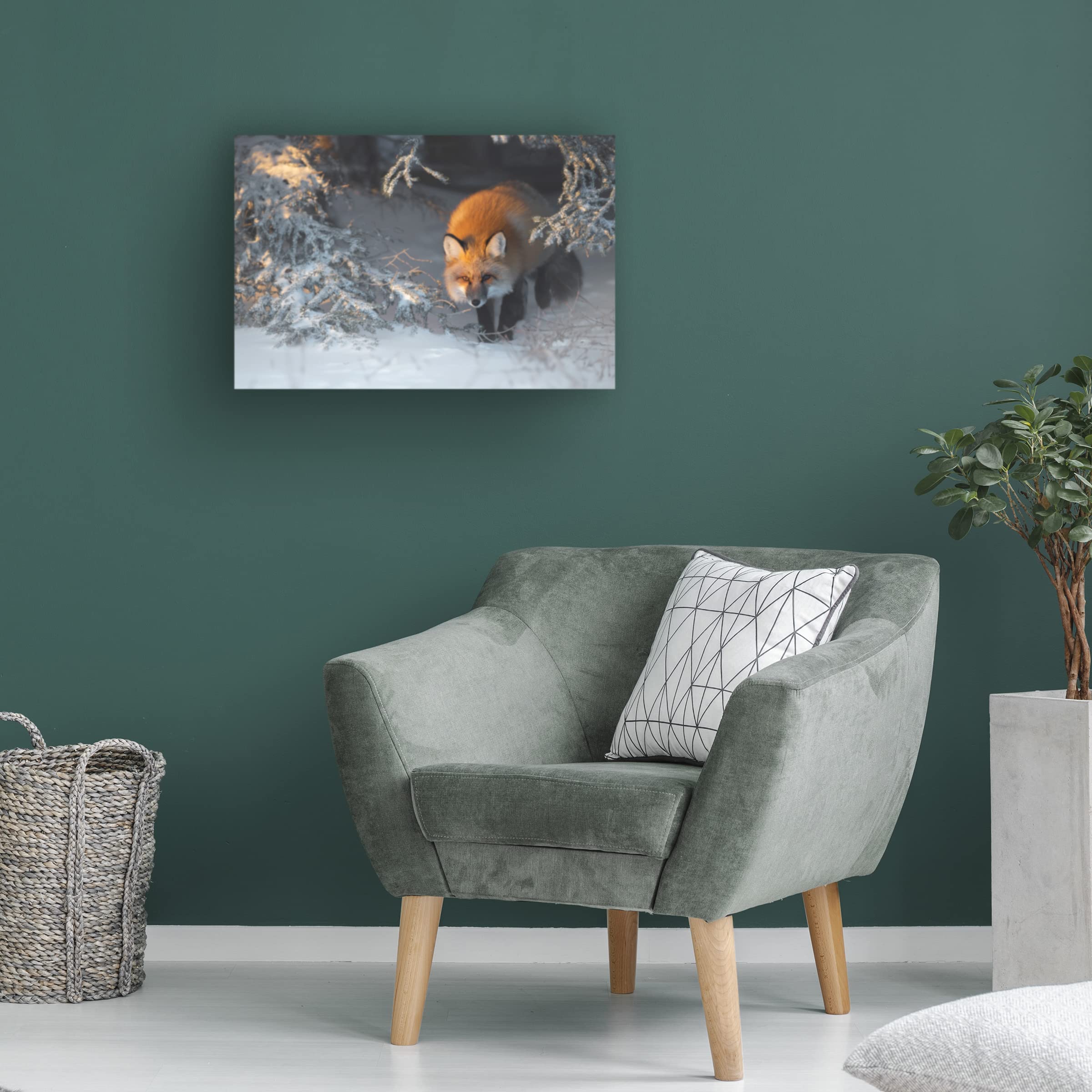 Roberto Marchegiani 'Red Fox' Canvas Art Print - Wildlife Nature Wall Decor for Living Room, Bedroom & Office - Trademark Fine Art Collection
