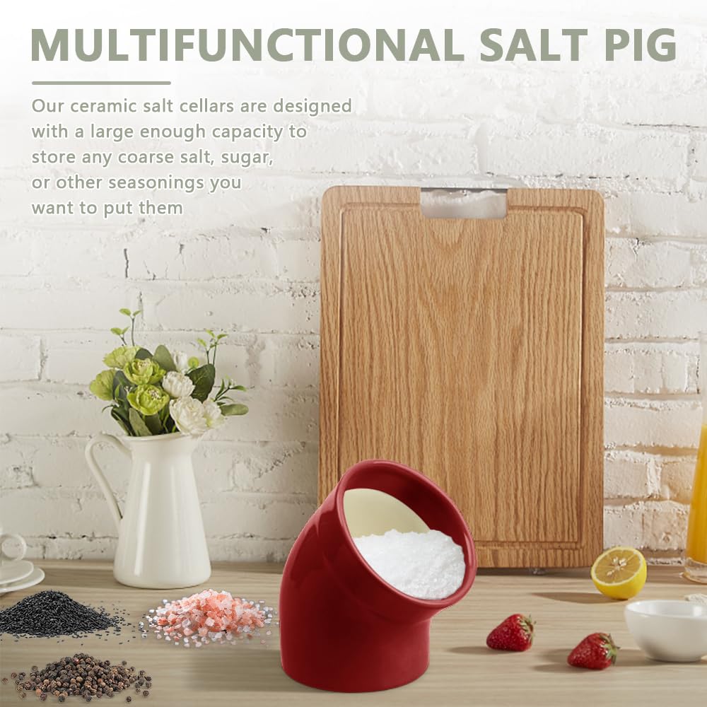 Modern Minimalist Ceramic Salt Pig - Dishwasher Safe Salt Cellar with Wide Opening for Easy Seasoning Access | Stylish Countertop Salt Holder in Red | Perfect for Kitchen, Dining Table & Cooking Stations