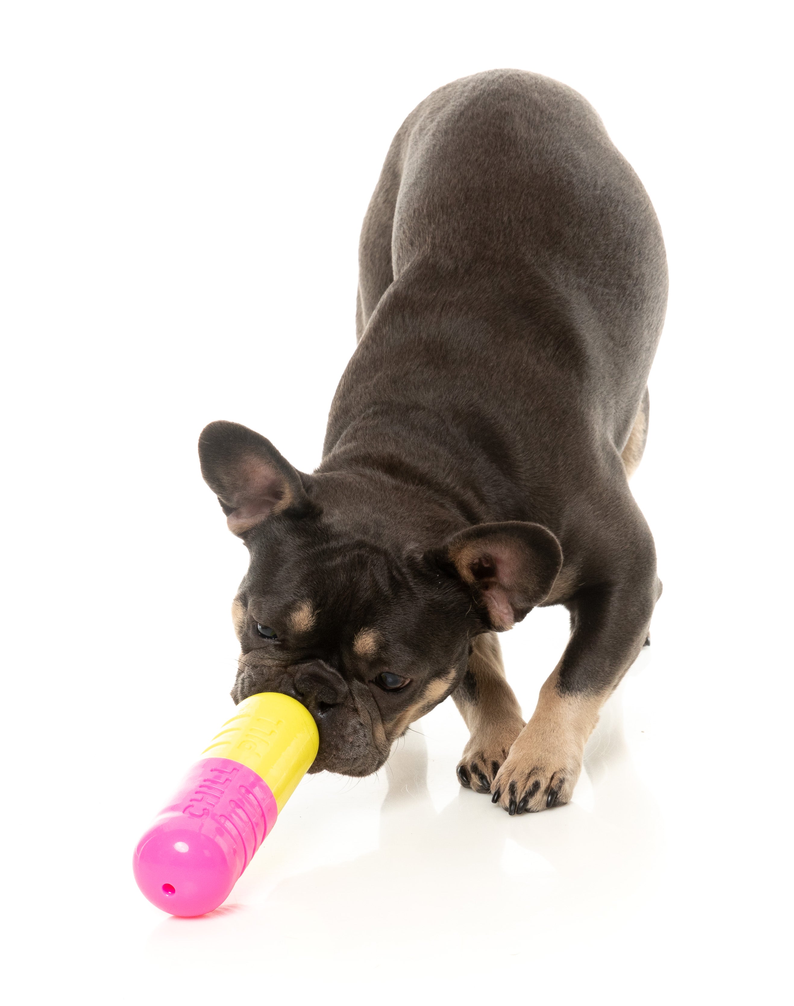 Interactive Dog Chew Toy with Treat Dispenser - Fuzzyard Chill Pill for Boredom & Anxiety Relief - Perfect for Training, Teething & Playtime