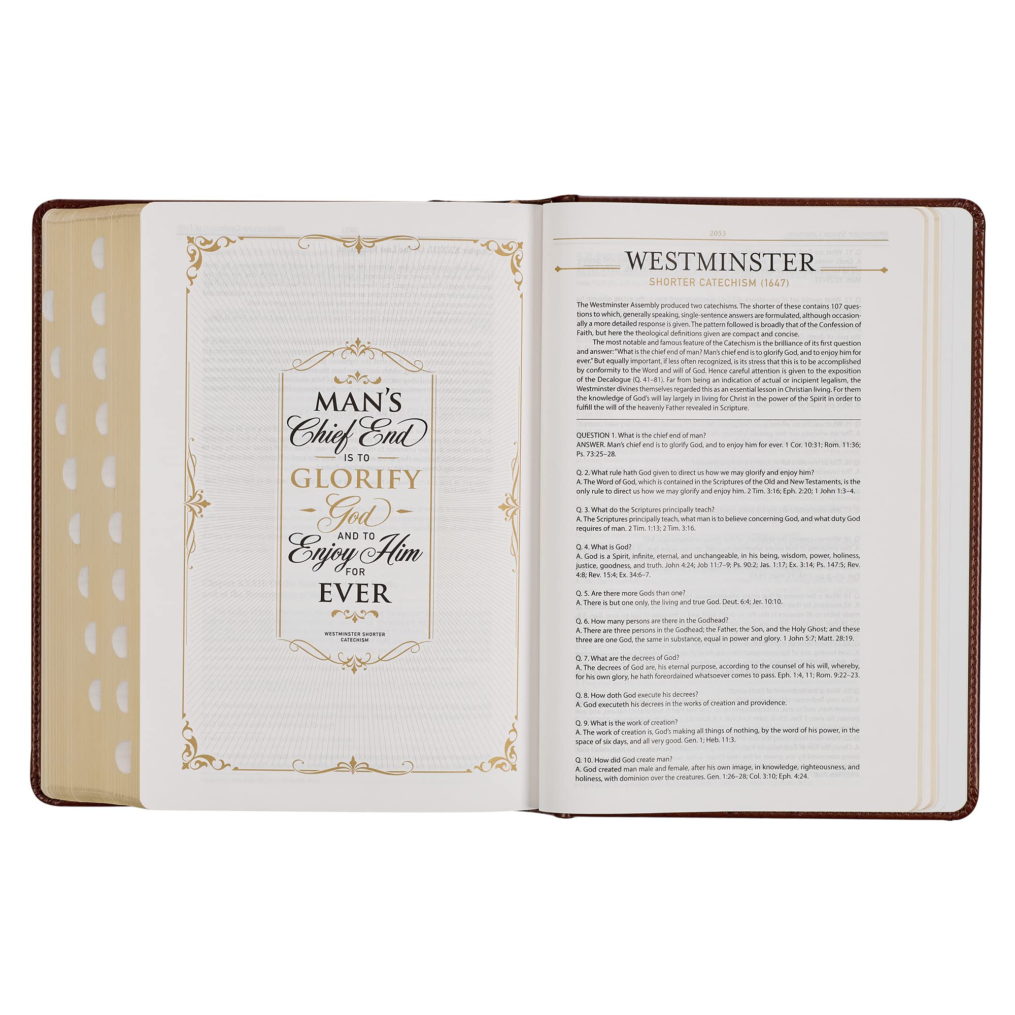 KJV Study Bible, Standard Print Faux Leather Hardcover with Thumb Index - King James Version Holy Bible in Toffee/Burgundy for Personal Devotion, Bible Study Groups & Church Services