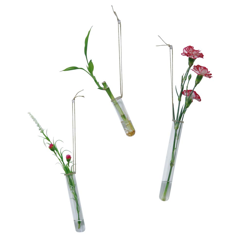 12 Pack Clear Glass Test Tubes - 4