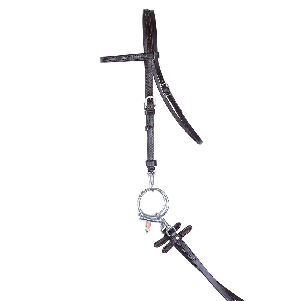 Victor Supreme Stainless Steel Arabian Horse Training Bridle – Dark Color | Quick-Change Adjustable Design | Premium Leather with Stainless Steel Hardware | Perfect for Dressage, Trail Riding & Training Sessions