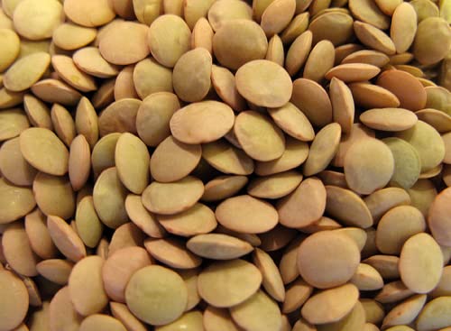 Premium USA Grown Dried Lentils - 20 LBS Bulk Wholesale Supply | High-Quality Pantry Staples for Home Cooking, Restaurants & Hotels | Perfect for Soups, Stews & Healthy Meals