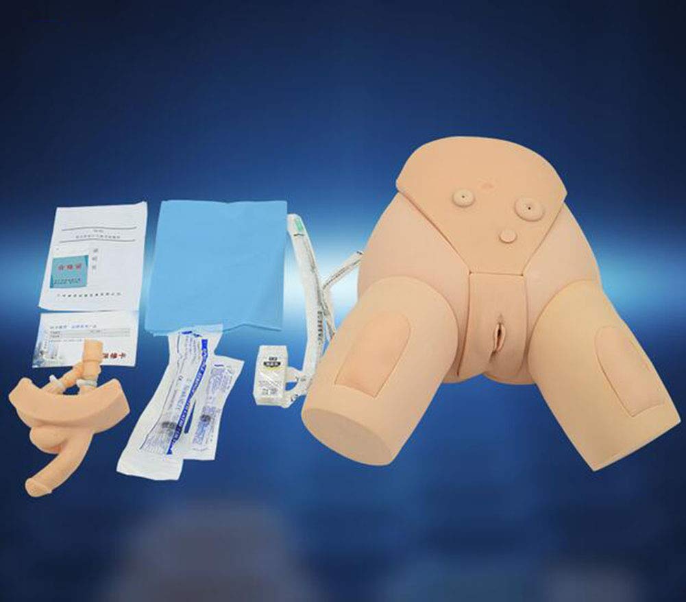 GHDE&MD H17EF Male and Female Urethral Catheterization Simulator Kit - Medical Training Model for Nursing Students & Healthcare Professionals - Practice Urinary Catheter Insertion Techniques for Clinical Skills Development