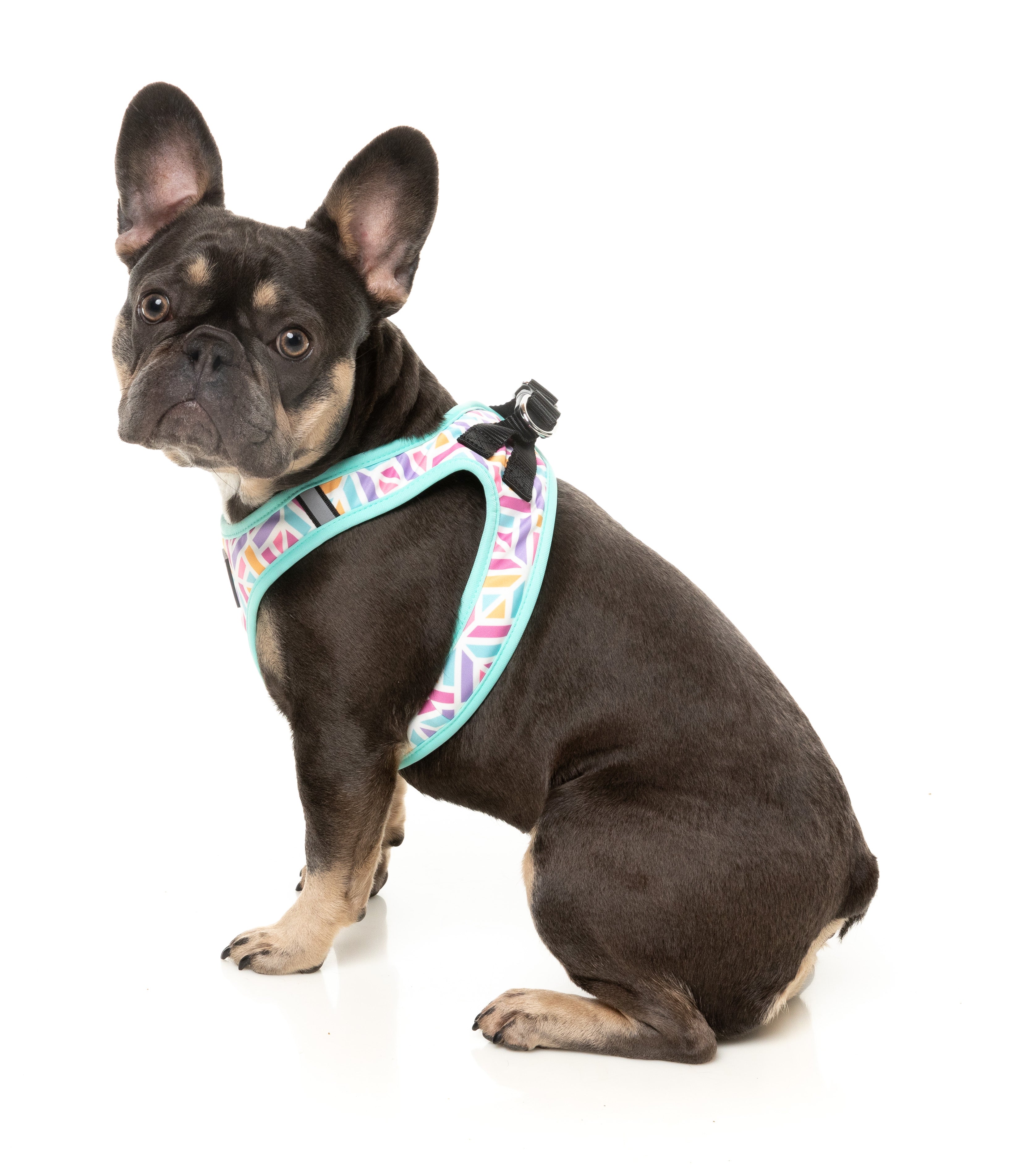 Fuzzyard Bubblegum Burst Dog Step-In Harness - Adjustable Pet Vest for Small Medium Dogs - Perfect for Walking, Training & Outdoor Adventures