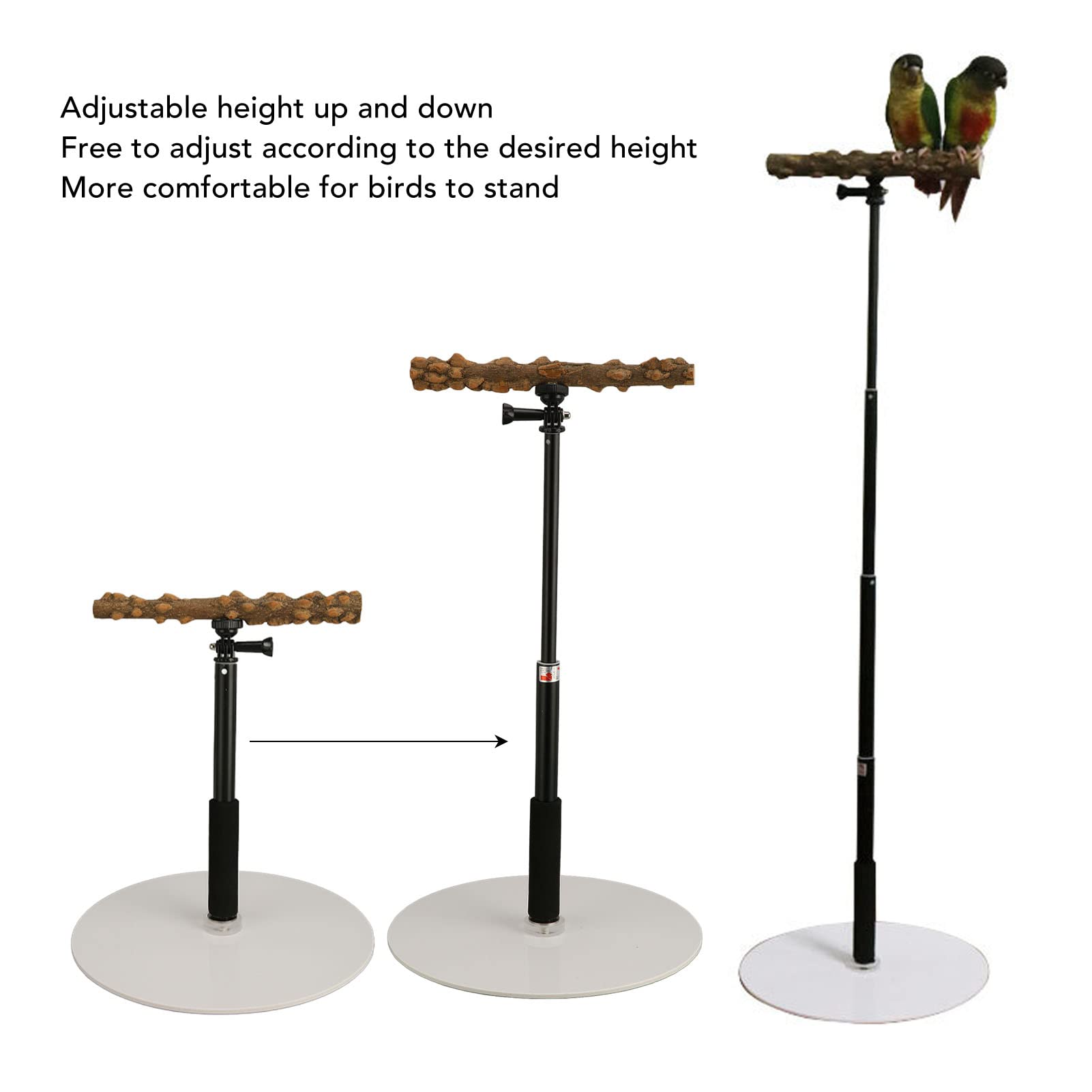 ASHATA Portable & Detachable Bird Play Stand - Indoor & Outdoor Perch for Parrots, Cockatiels & Small Birds - Perfect for Travel, Climbing & Playtime Activities