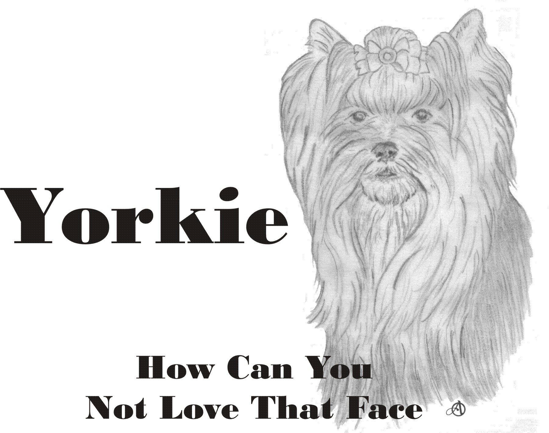 Cahoon's Closet Yorkie T-Shirt - Adorable Yorkie Face Graphic Tee for Dog Lovers | Perfect Casual Wear for Pet Owners & Dog Enthusiasts