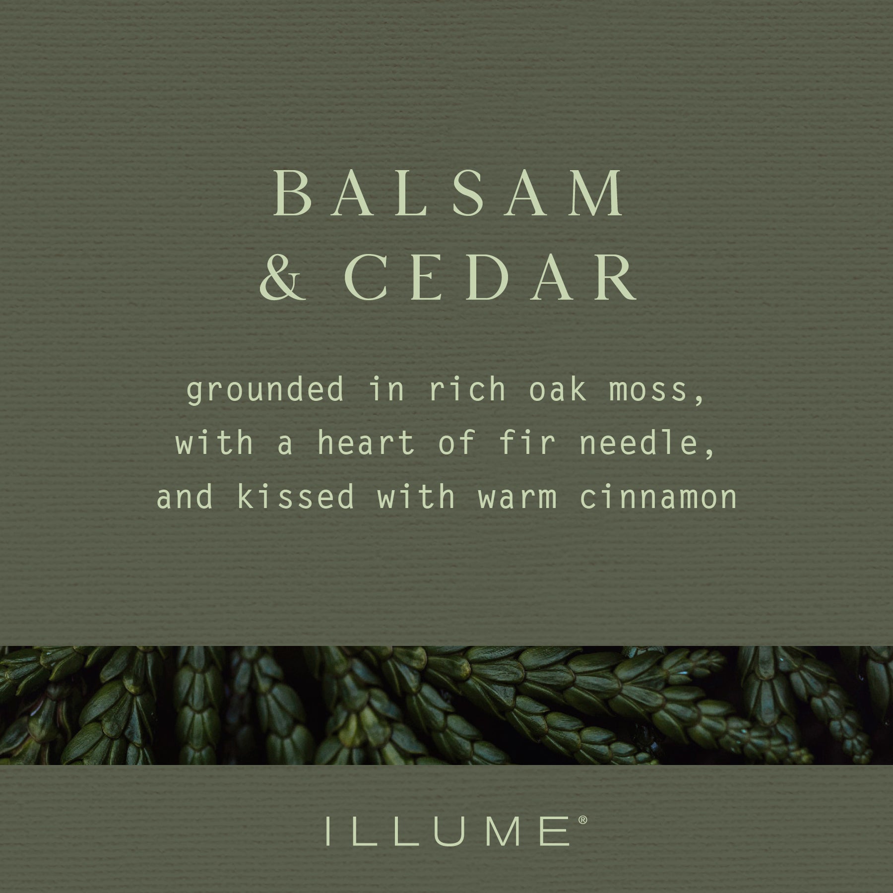 Balsam & Cedar Scented Large Radiant Glass Candle - 16oz Home Decor for Relaxation, Aromatherapy & Cozy Ambiance - Perfect for Living Room, Bedroom & Spa
