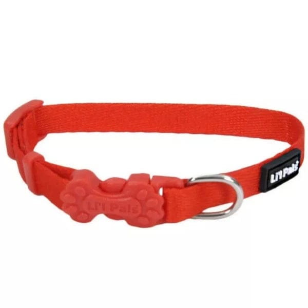 Adjustable Dog Collar for Small Dogs - Soft Nylon Pet Collar with Buckle - Perfect for Walking, Training & Daily Use