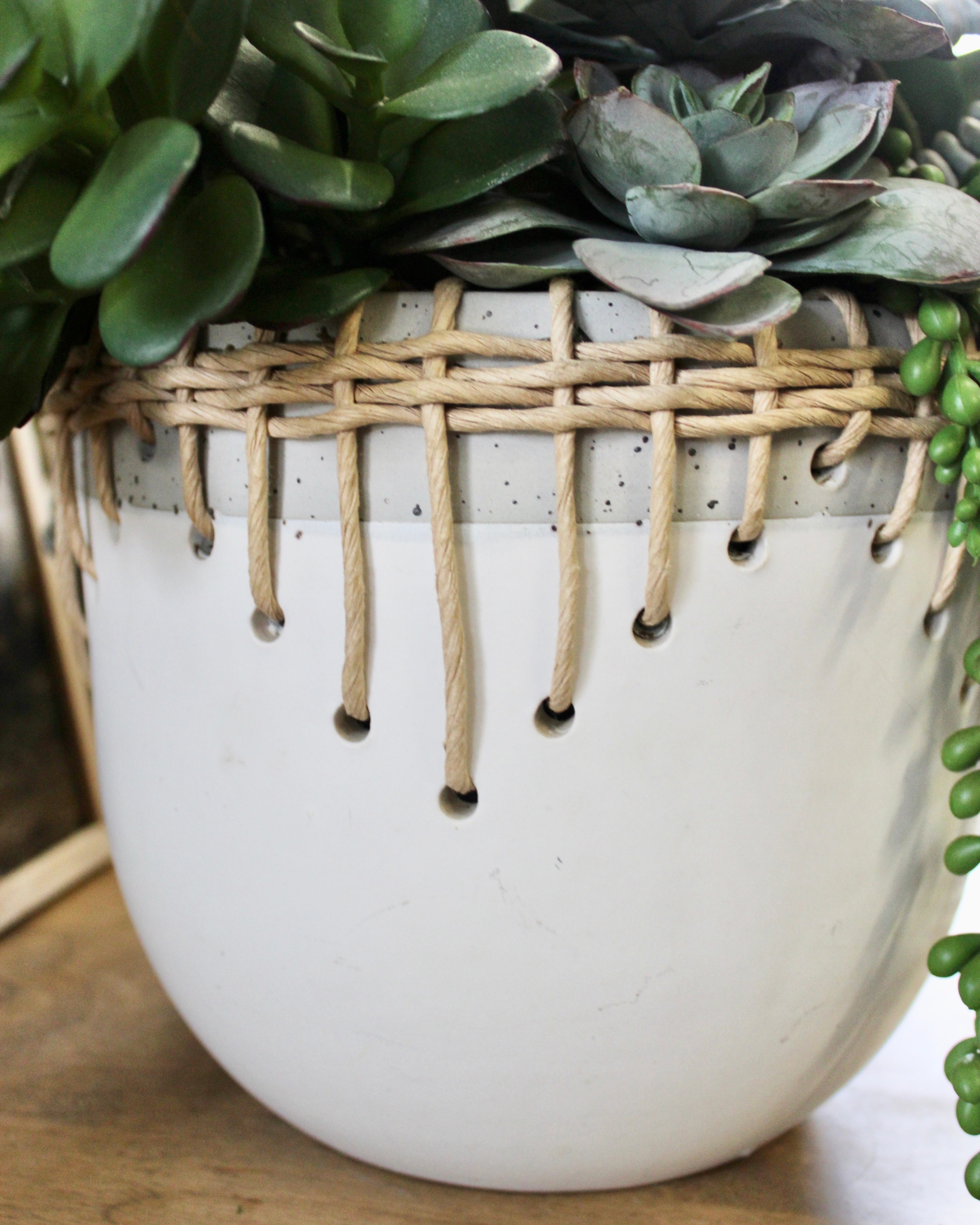 Air Plant & Triple Jade Mixed Succulent Arrangement - Low Maintenance Indoor Plants for Home Decor, Office Desk, and Gift Ideas