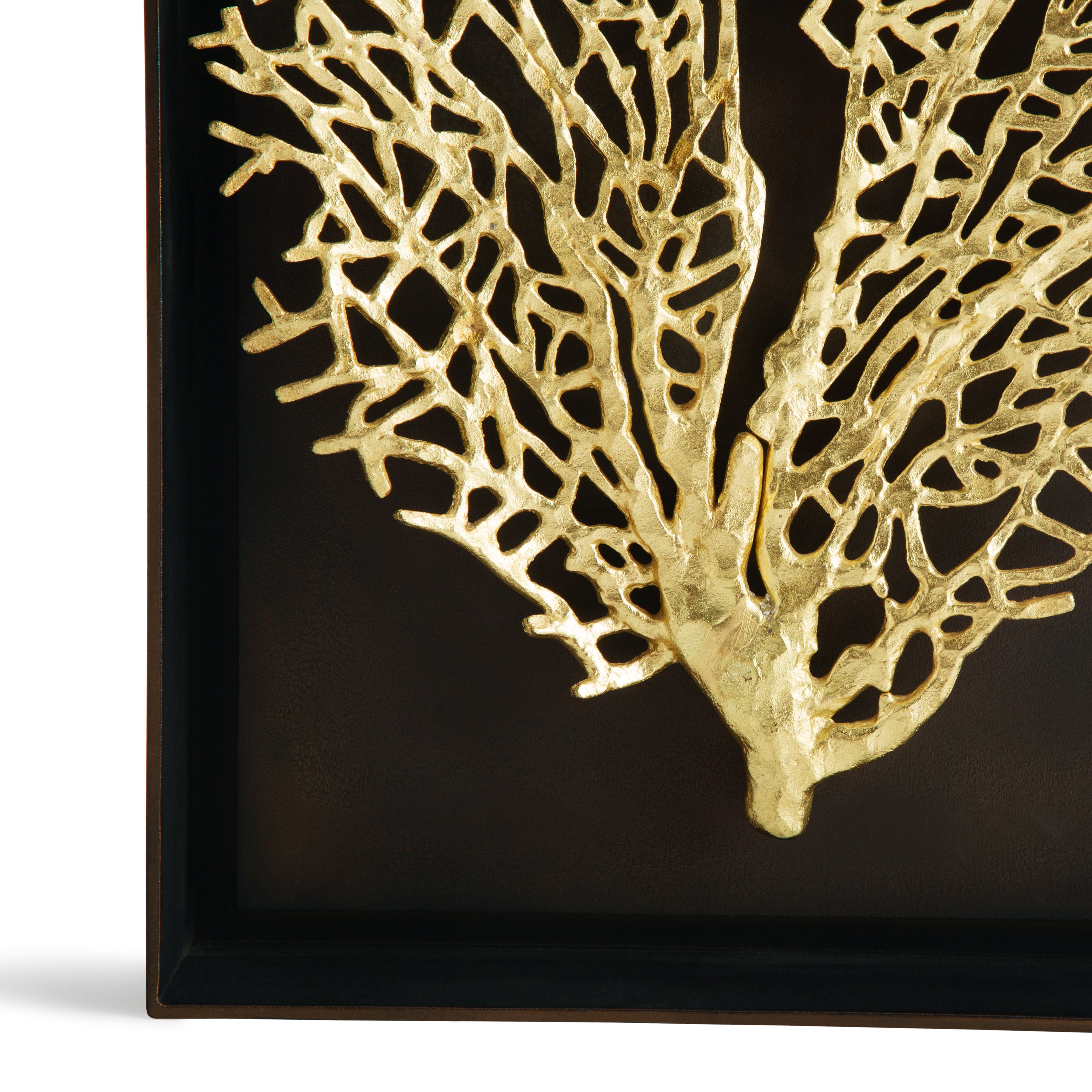 Beautiful Fan Coral Shadow Box - Handcrafted Home Decor for Beach House, Coastal Living Room & Nautical Theme Bedroom