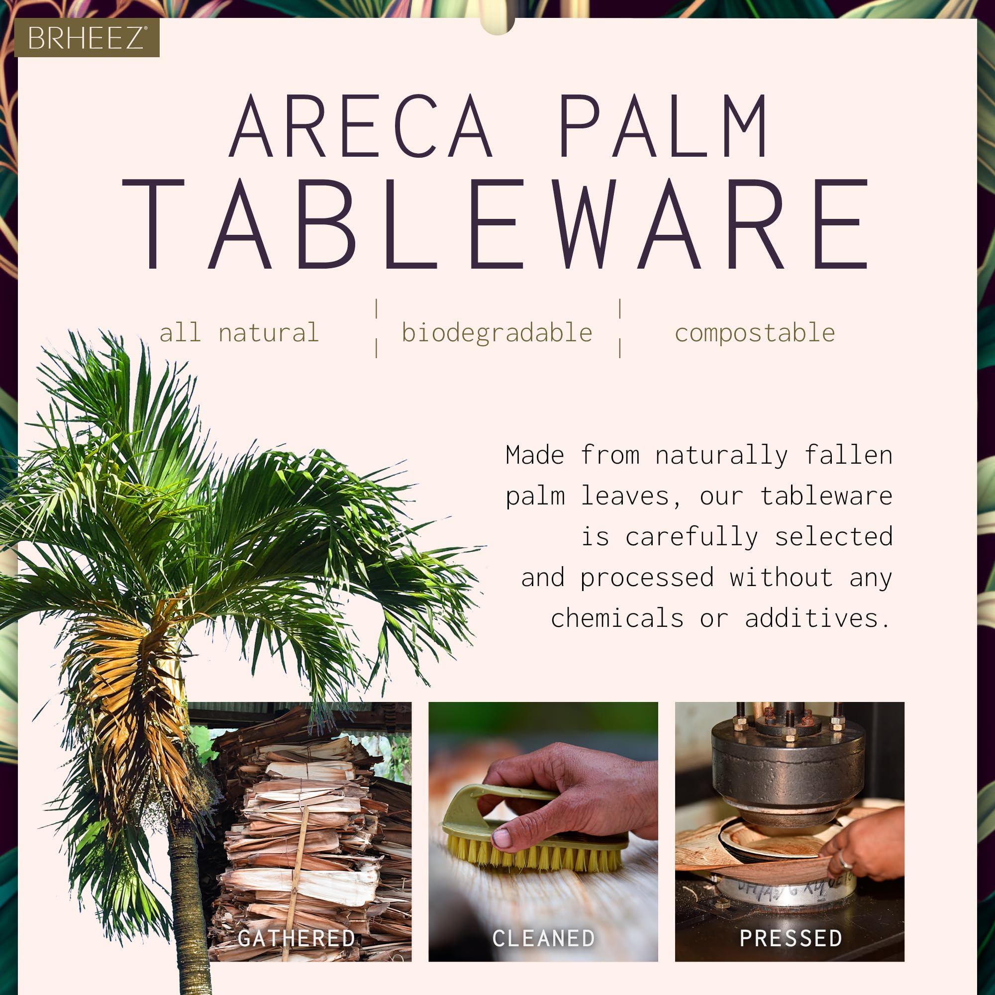 Eco-Friendly 12 Inch Palm Leaf Plates 100 Count - Biodegradable & Compostable Disposable Dinnerware for Parties, Weddings, BBQs - Heavy Duty Bamboo Look Plates More Sustainable Than Paper Plates