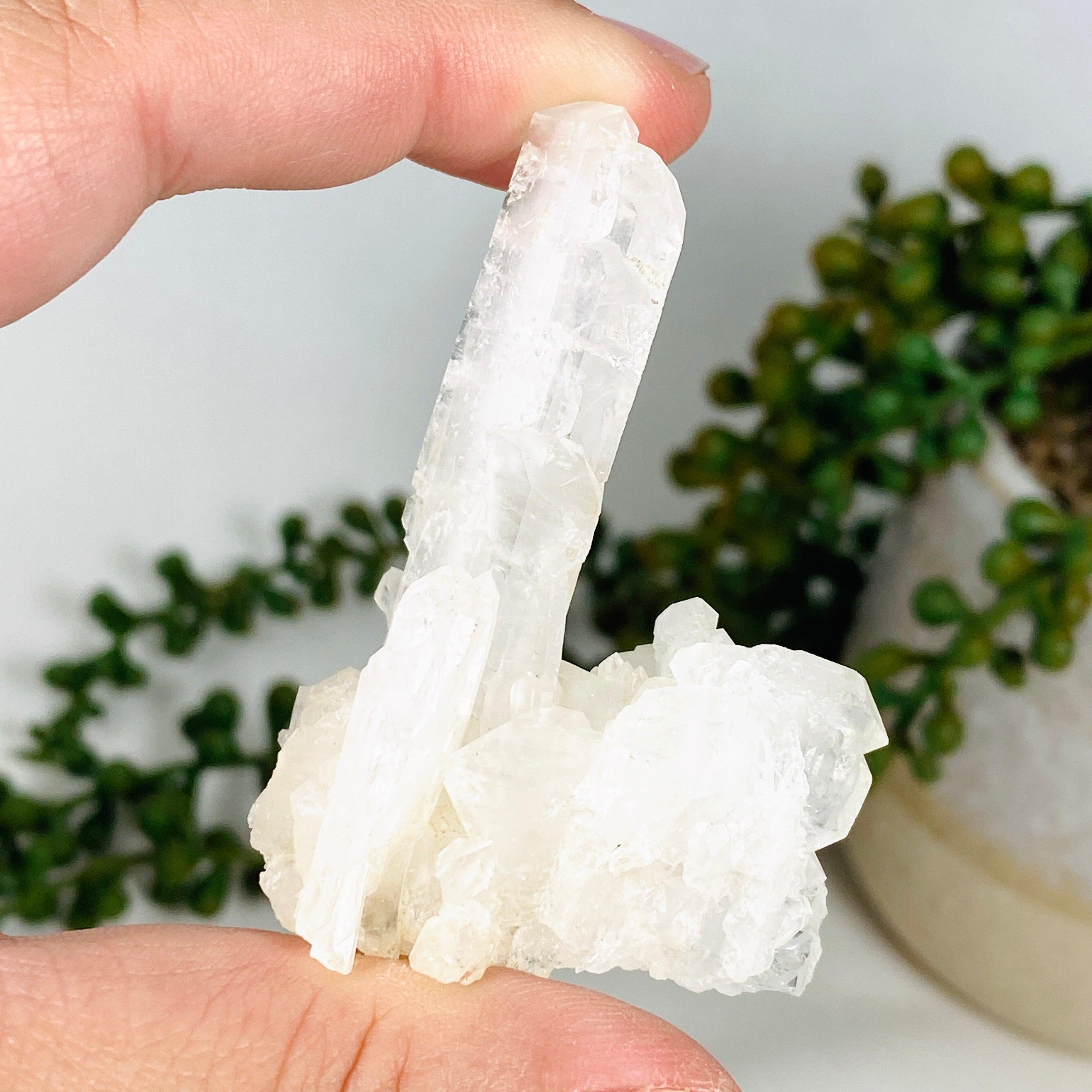 Natural Clear Quartz Faden Specimen - Healing Crystal for Meditation, Energy Work & Home Decor (CQ44) | Perfect for Spiritual Practices, Chakra Balancing & Gift Giving