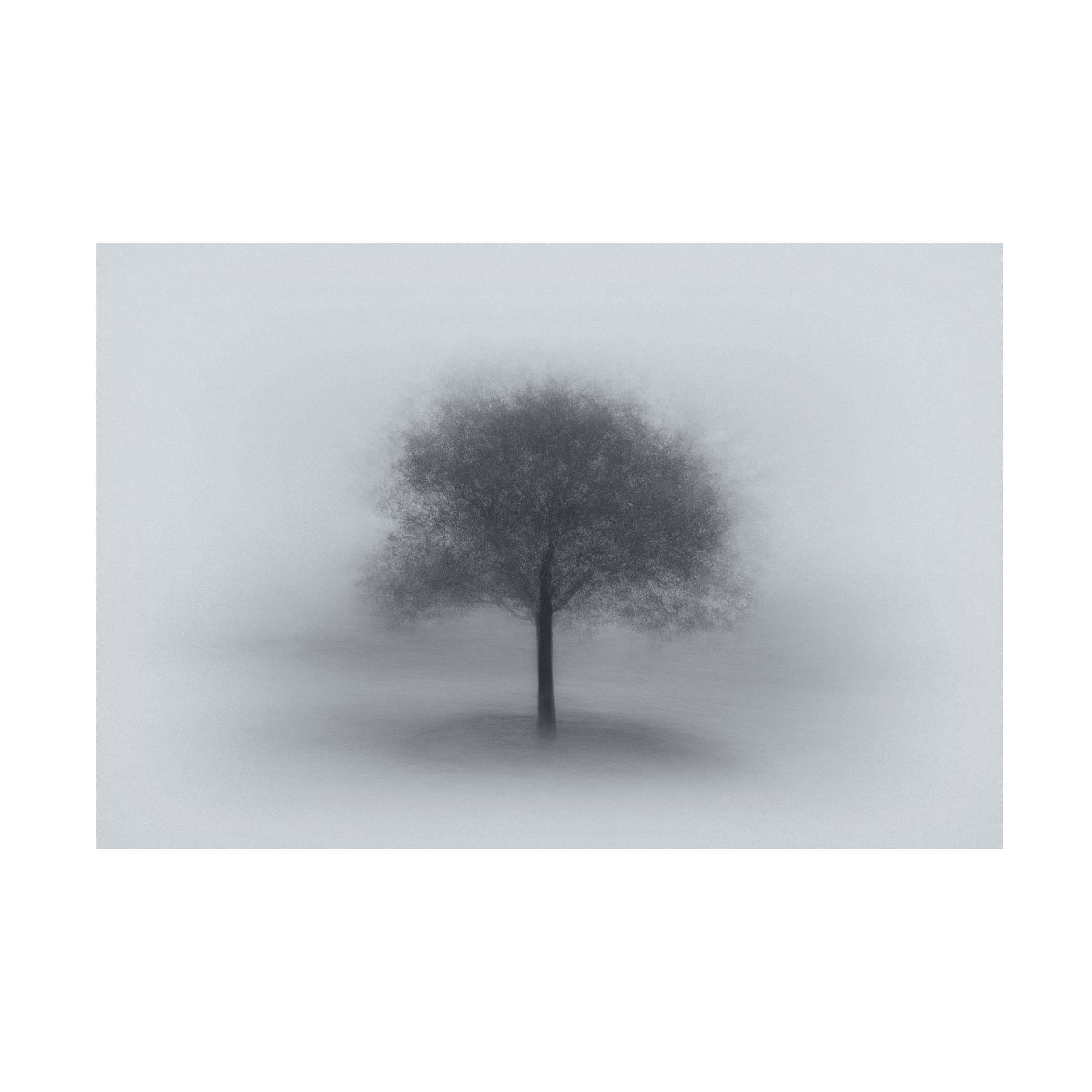 Aidong Ning 'Tree In Fog' Canvas Wall Art Print - Modern Landscape Painting for Living Room, Bedroom & Office Decor