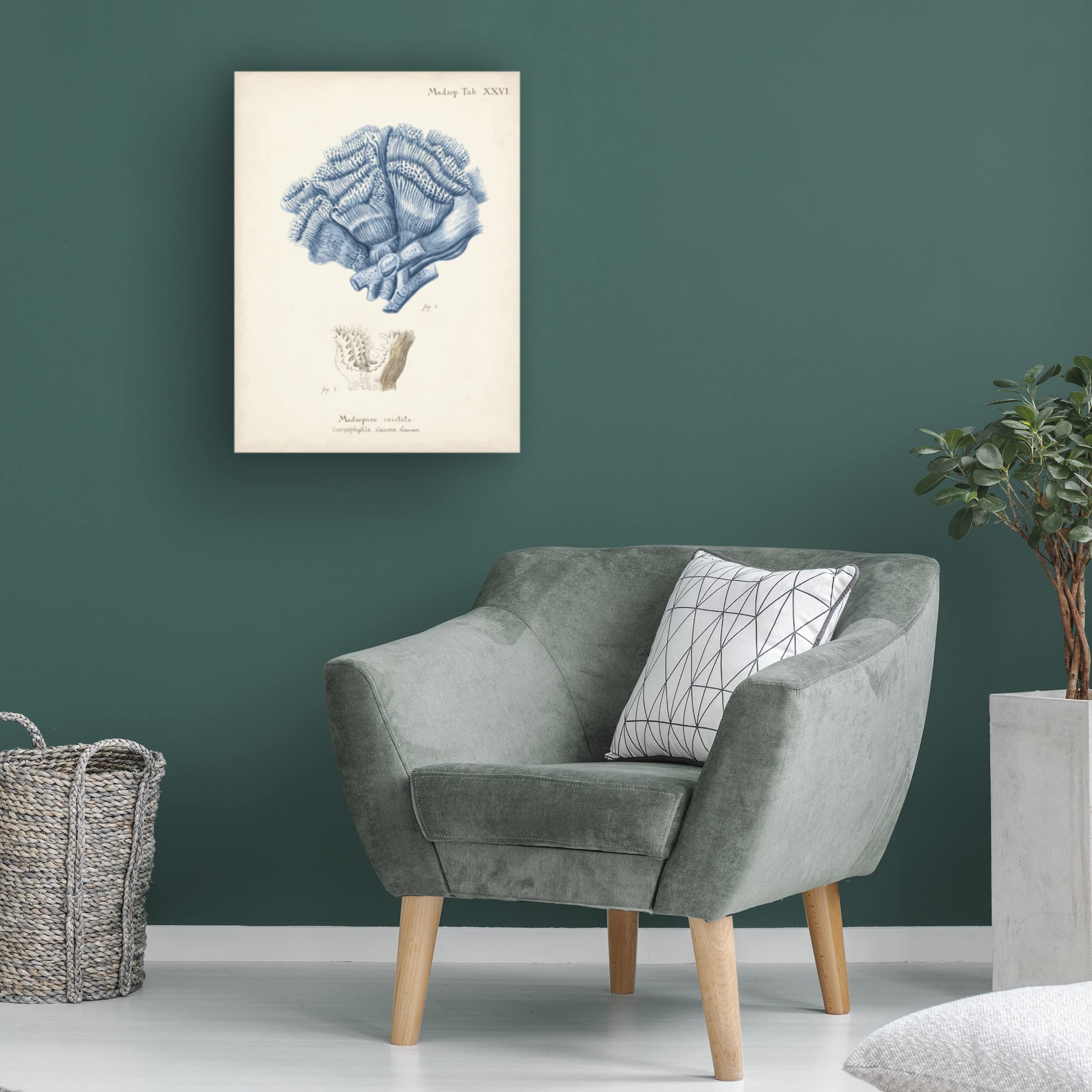 Trademark Fine Art 'Antique Coral in Navy II' Canvas Wall Art Print by Johann Esper - Perfect for Living Room, Bedroom & Office Decor