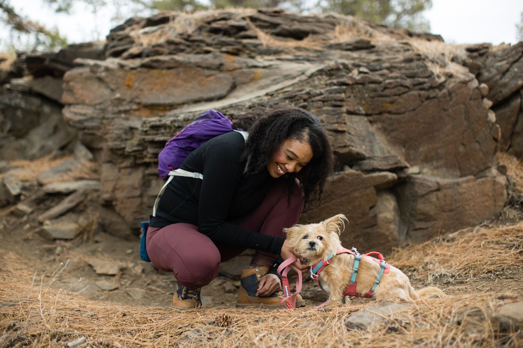 Ruffwear Flagline Reflective Dog Harness with Handle - Adjustable No-Pull Pet Vest for Hiking, Running & Outdoor Adventures - Lightweight & Durable for Medium to Large Dogs