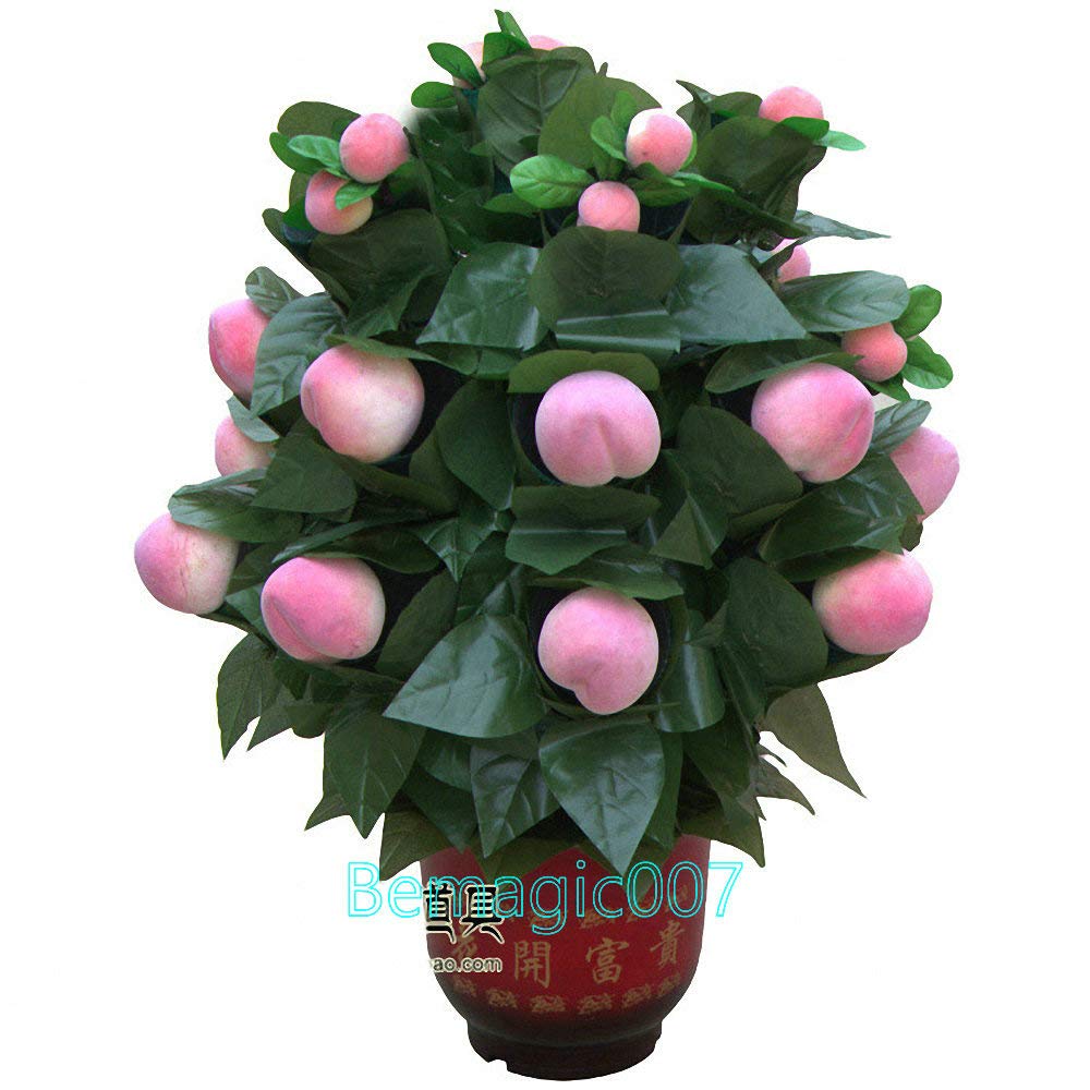 20 Blooming Peaches - Remote Control Magic Trick Props for Stage Shows, Birthday Parties & Family Gatherings | Fun Interactive Party Gifts & Illusion Performance Accessories