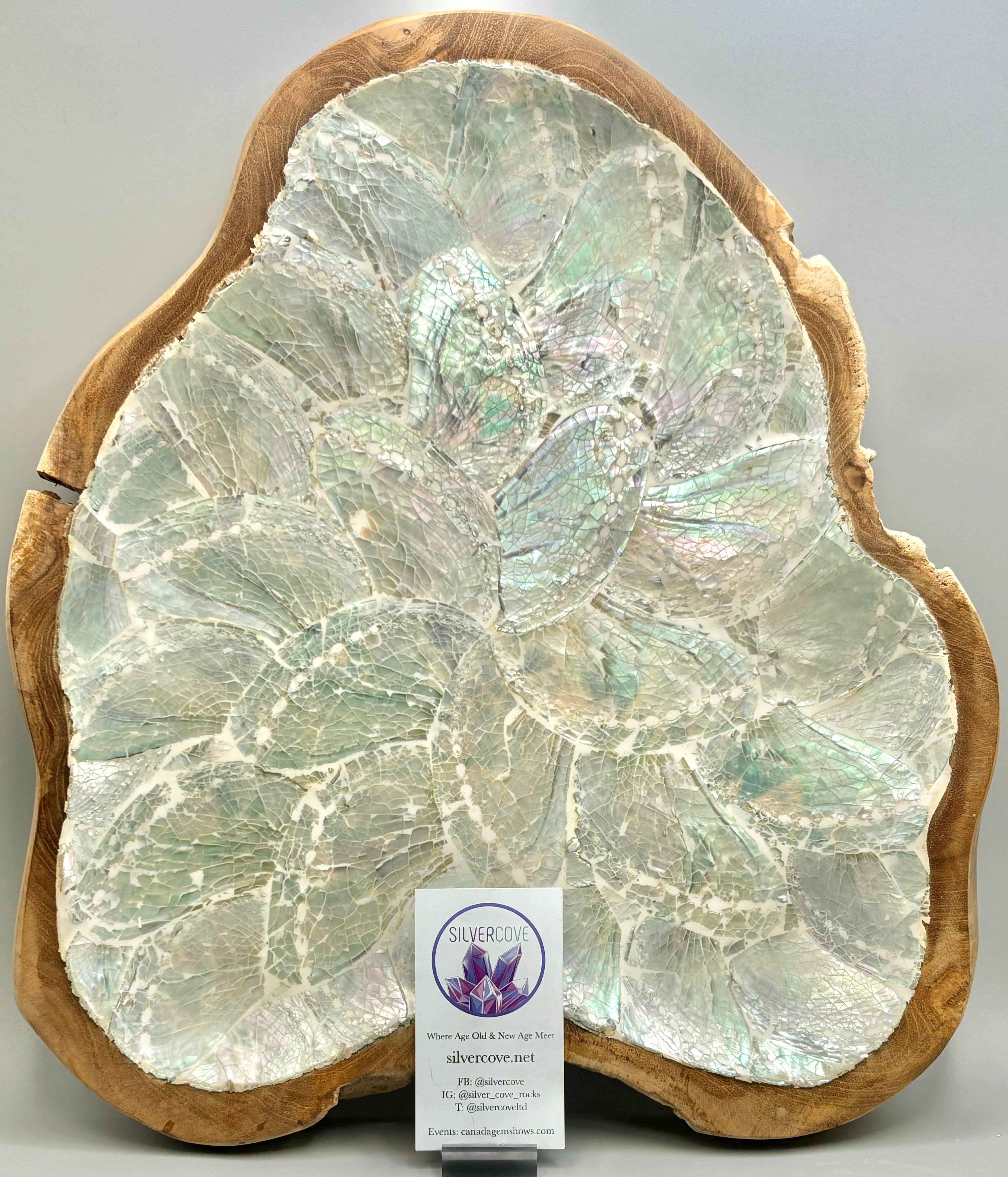 Handcrafted Australian Wood and Shell Serving Dish - Perfect for Charcuterie, Appetizers, and Home Decor