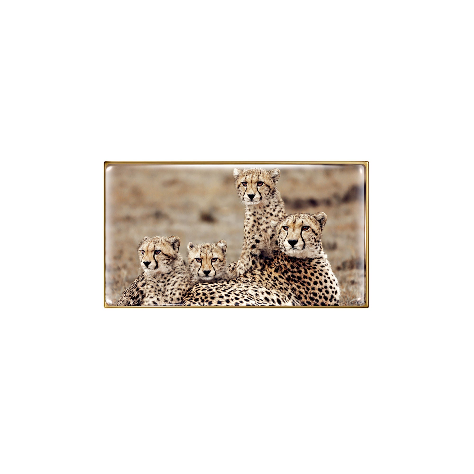 Cheetah Eye Trio - Limited Edition Eyeshadow Palette | High-Pigment Makeup for Party & Night Out Looks