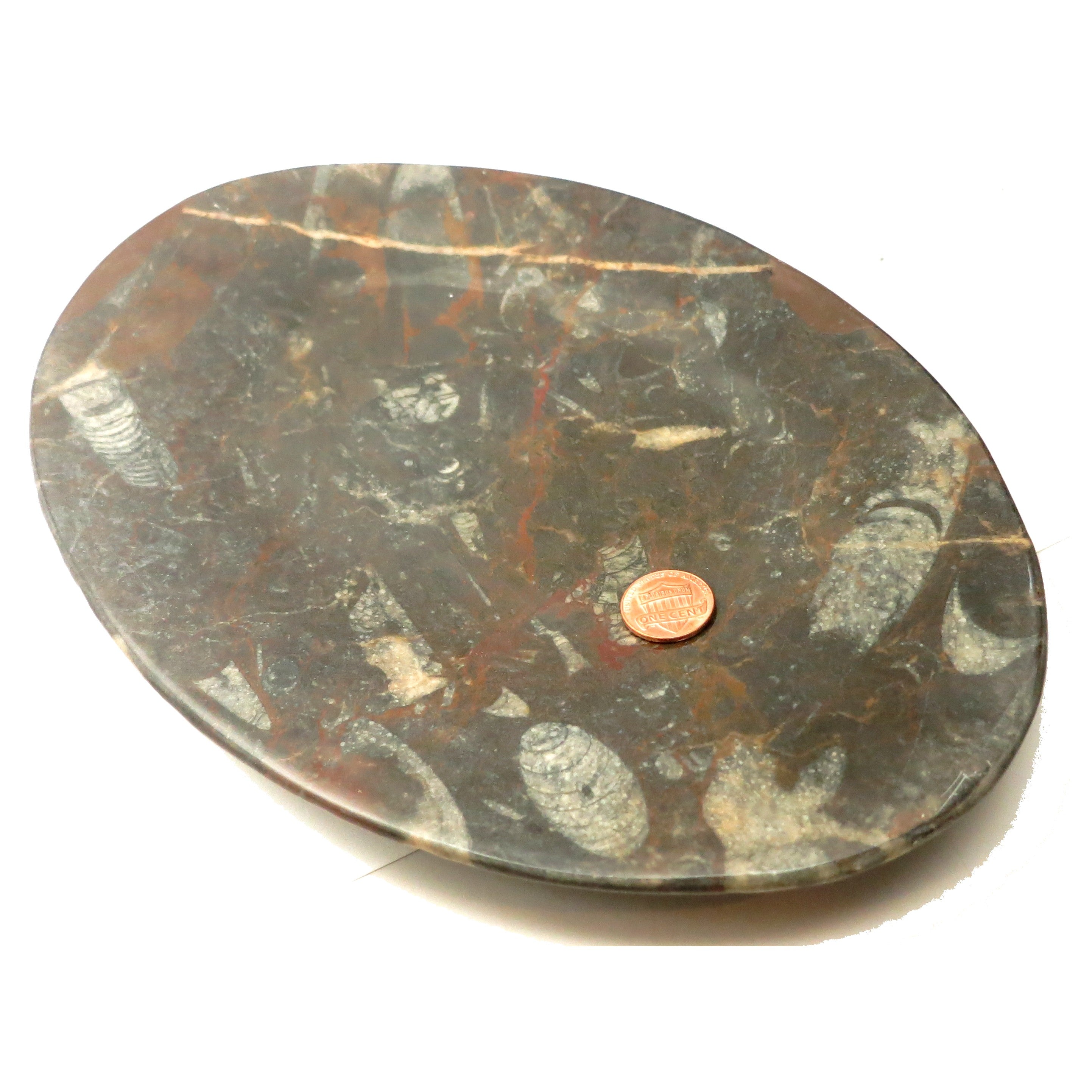 Orthoceras Fossil Black Stone Oval Serving Platter - Elegant Hostess Tray for Entertaining, Dinner Parties & Home Decor