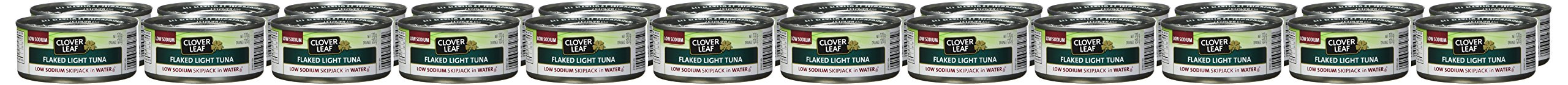 Clover Leaf Flaked Light Tuna in Water - Low Sodium Skipjack, 170g (24 Pack) | High Protein Canned Tuna (11g per 55g) | 100% Wild-Caught & Traceable | Perfect for Salads, Sandwiches & Healthy Meal Prep