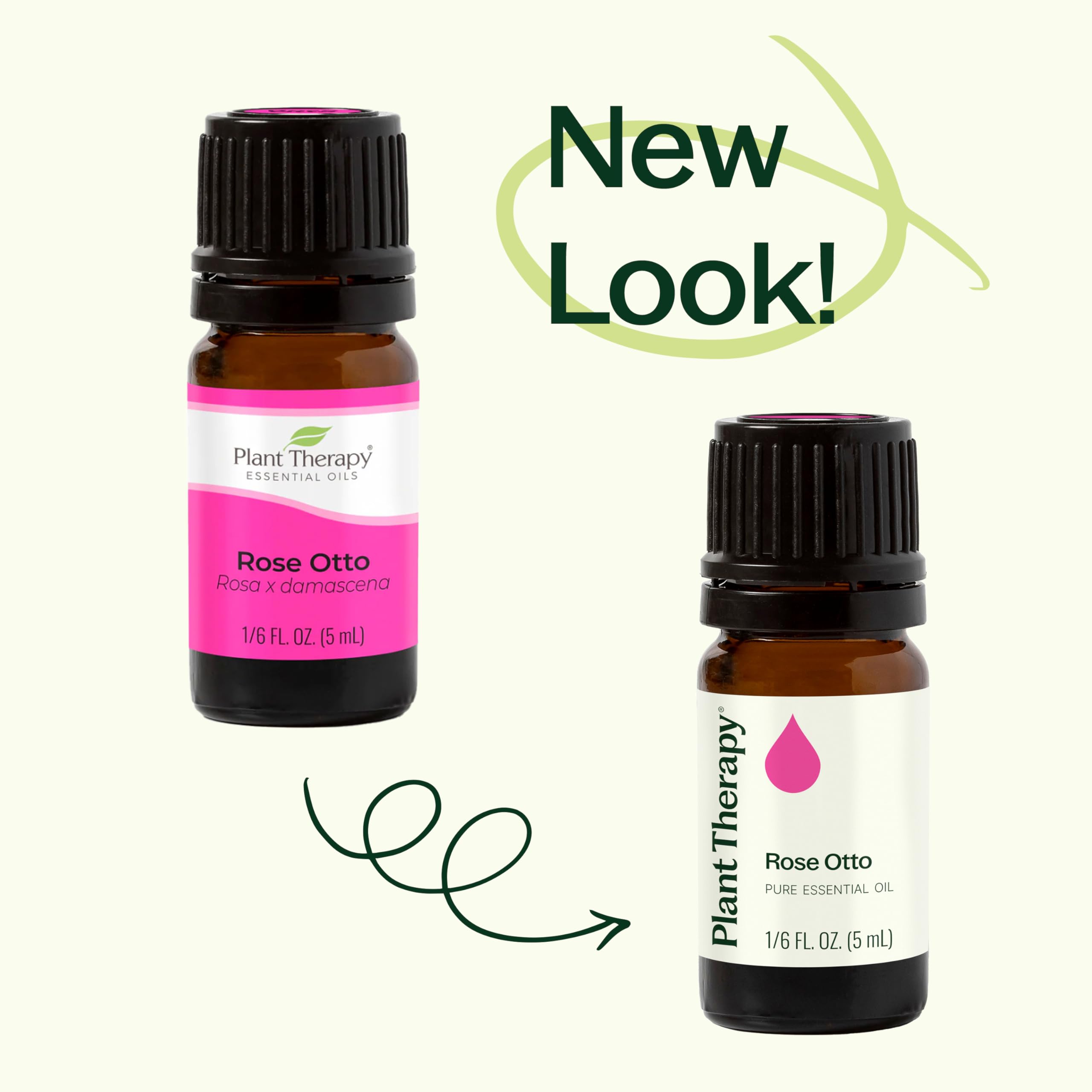 Plant Therapy Rose Otto Essential Oil 5 mL (1/6 oz) - 100% Pure, Undiluted, Therapeutic Grade for Aromatherapy, Massage & Skin Care | Natural Stress Relief & Emotional Balance