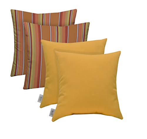Dolce Mango & Canvas Buttercup