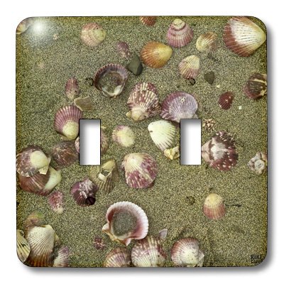3dRose LLC lsp_10469_2 Sea Shells on The Sand Double Toggle Switch - Decorative Wall Plate Cover for Home & Office - Perfect for Bedroom, Living Room, Kitchen Decor