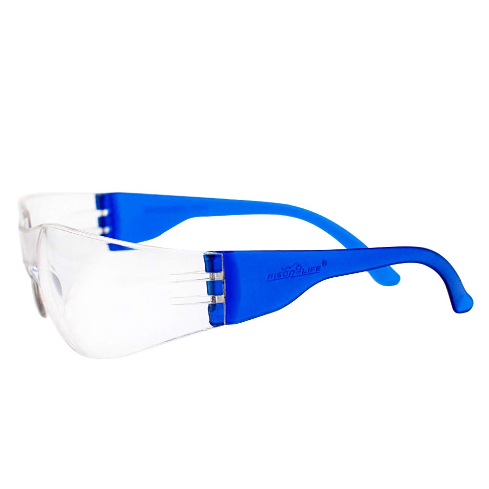 BISON LIFE Kids Safety Glasses - ANSI Z87.1 Certified Protective Eyewear for Children, Bulk Pack of Science Safety Goggles for School Labs, Woodworking, and DIY Projects