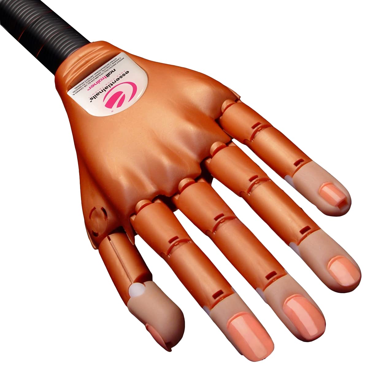 Essential Nails Nail Trainer Practice Hand with 6-Hour Online Nail Art Course - Professional Manicure Training Kit for Extensions & Nail Art | Includes 100 Practice Nails for Salon & Home Use