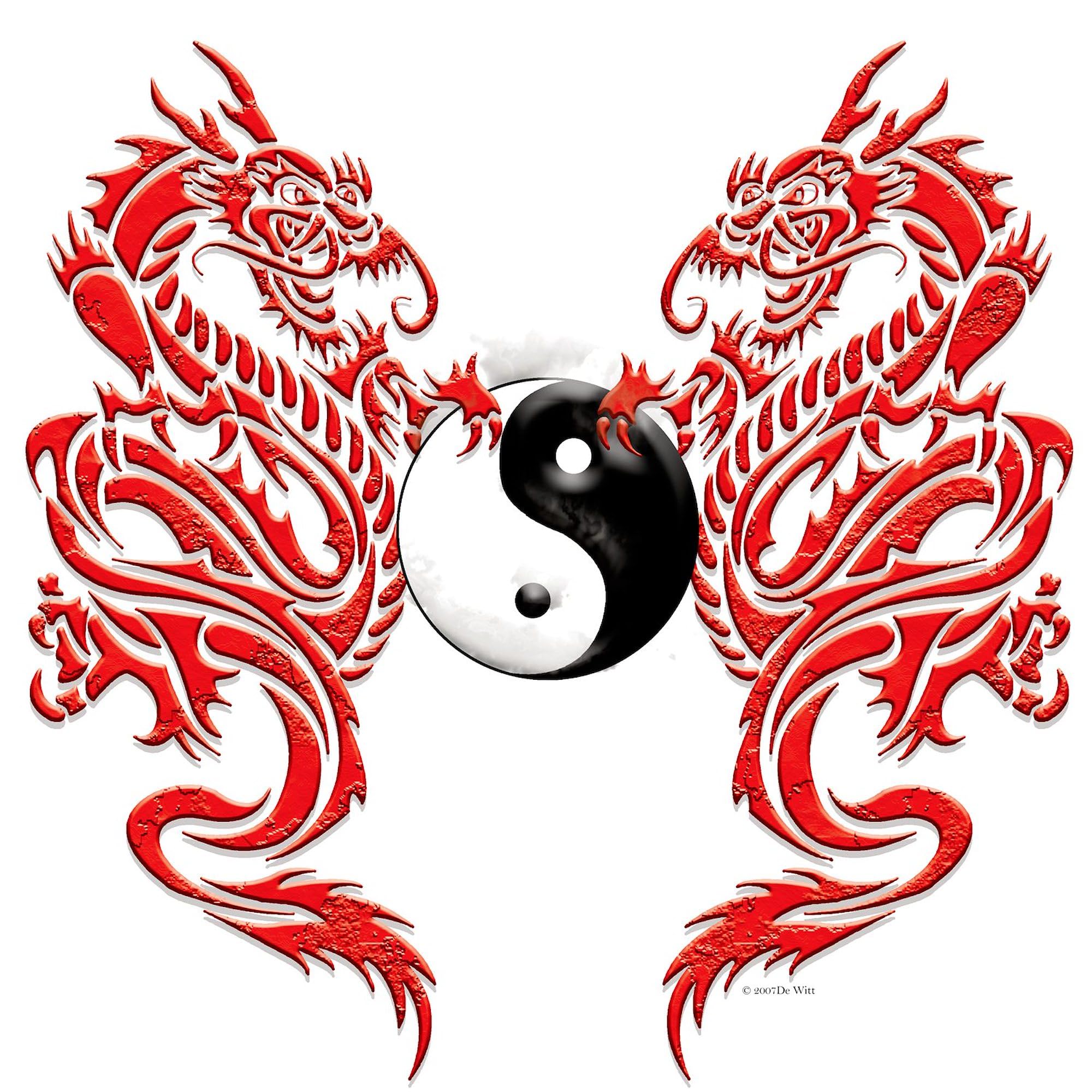 Dragon Car Bumper Sticker - Oval Decal for Cars & Laptops
