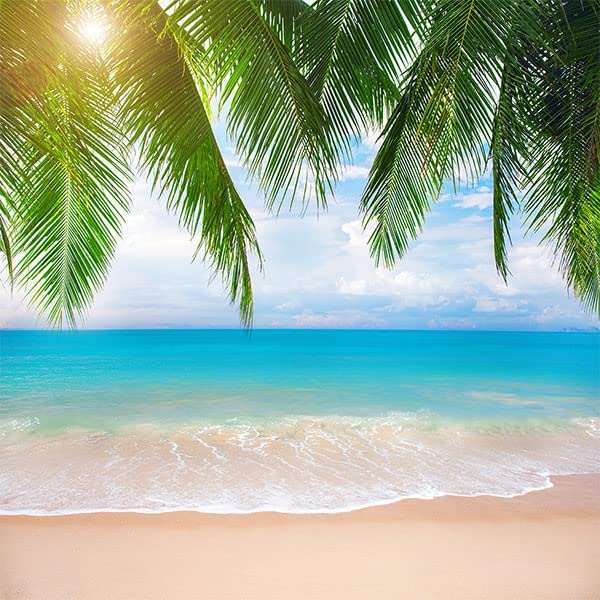 Sea Beach_08