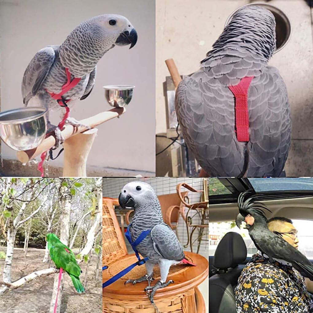 Adjustable Parrot Harness and Leash - Easy-to-Wear Nylon Bird Flying Harness for Small to Medium Parrots - Perfect for Outdoor Training, Walks, and Safe Flight Exercises