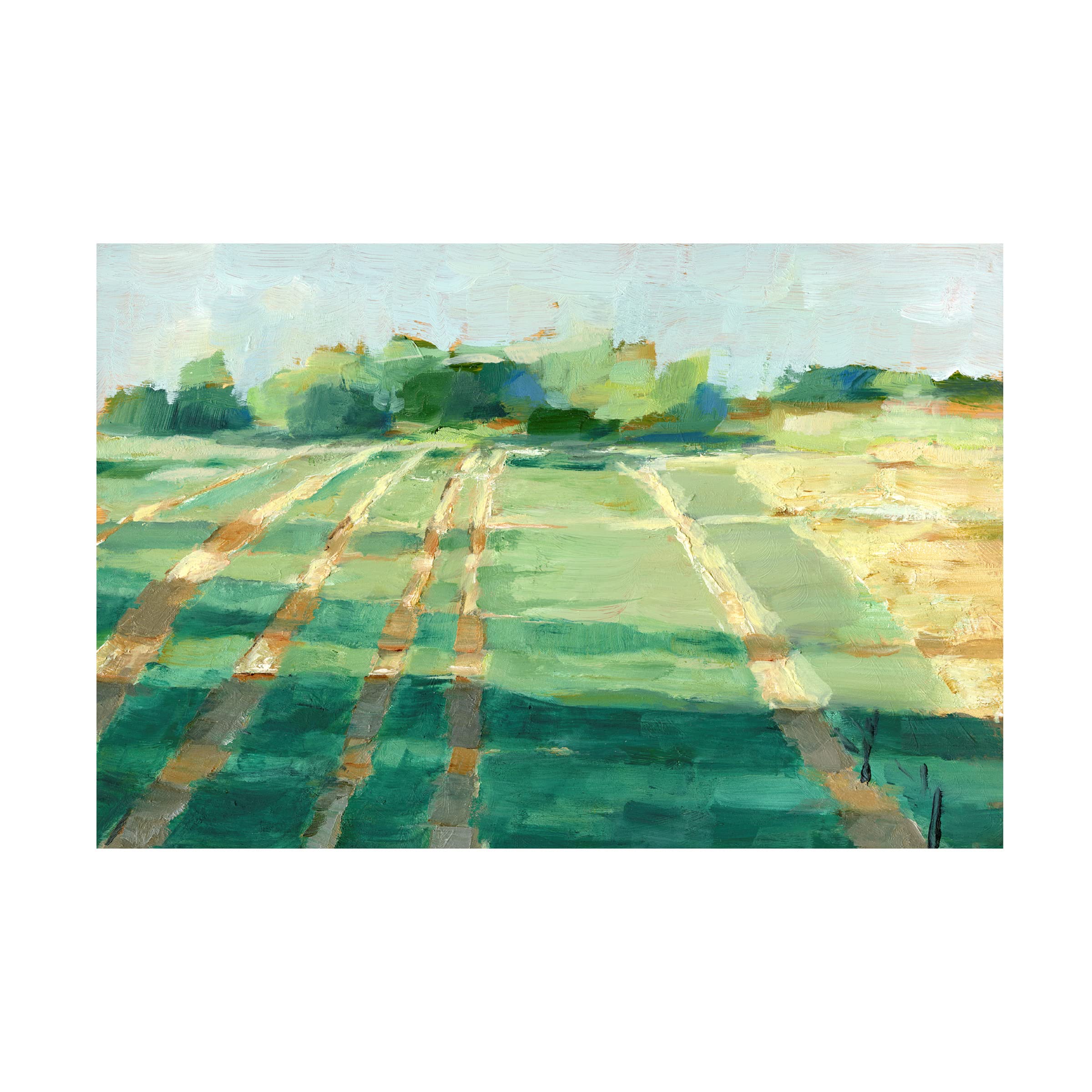 Ethan Harper 'Mid Summer Shadows I' Canvas Art Print - 16x24 Inches - Modern Wall Decor for Living Room, Bedroom & Office