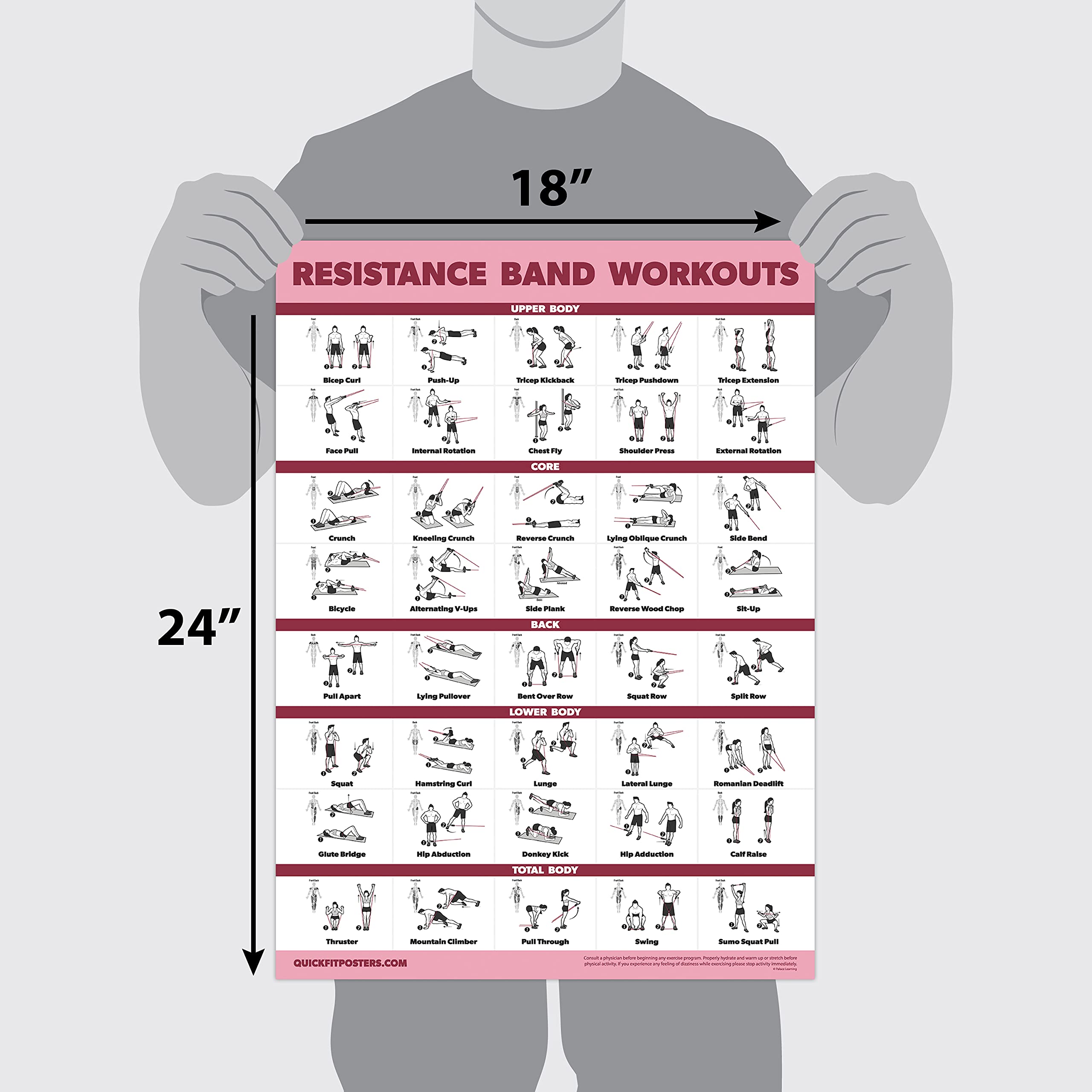 2 Pack Resistance Bands & Loops Workout Posters - Set of 2 Laminated Exercise Charts for Home Gym, Physical Therapy & Fitness Training | Palace Learning