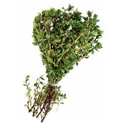 Premium Organic Red Thyme (Thymus Vulgaris) - Spanish Culinary Herb for Cooking, Seasoning & Aromatherapy | Perfect for Mediterranean Dishes, Soups & Herbal Teas