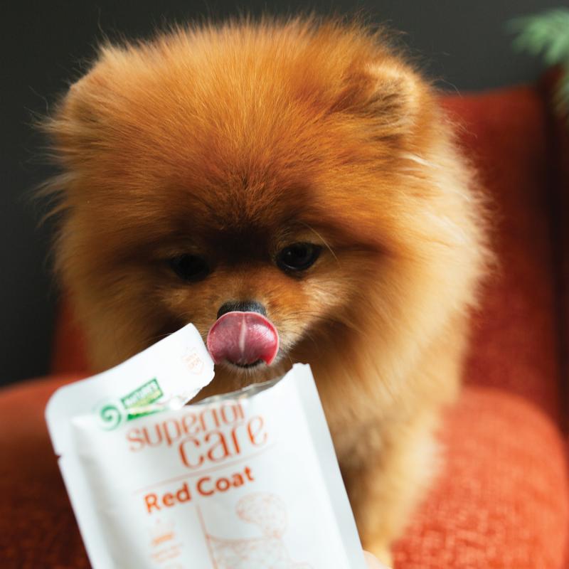 Premium Tuna & Rice Wet Dog Food for Adult Dogs - All Breeds, High Protein & Grain-Inclusive - Perfect for Mealtime, Training & Senior Dogs
