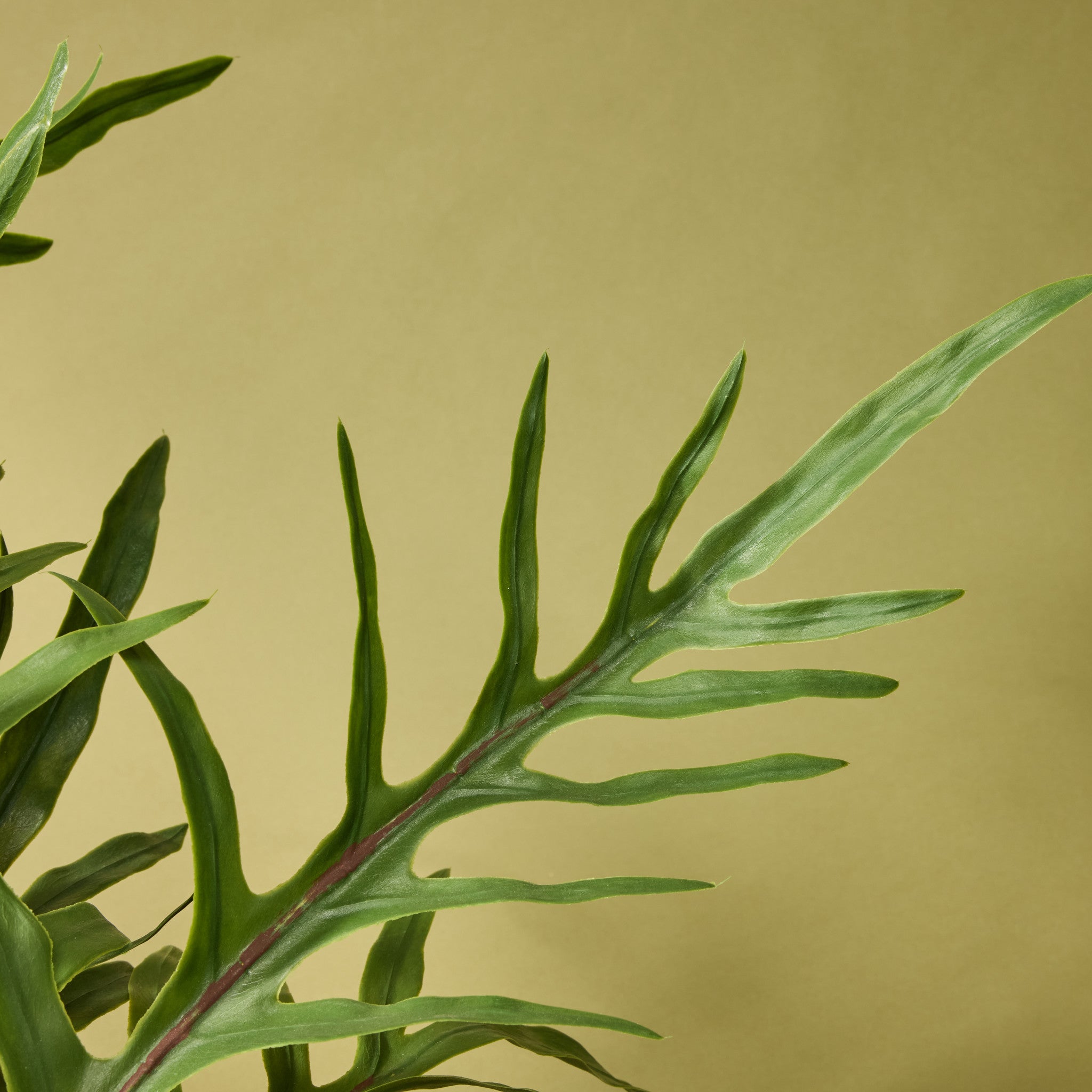Artificial Blue Star Fern Plant - 27 Inch Tall Fake Potted Fern for Home Decor, Office, Living Room, and Indoor Spaces