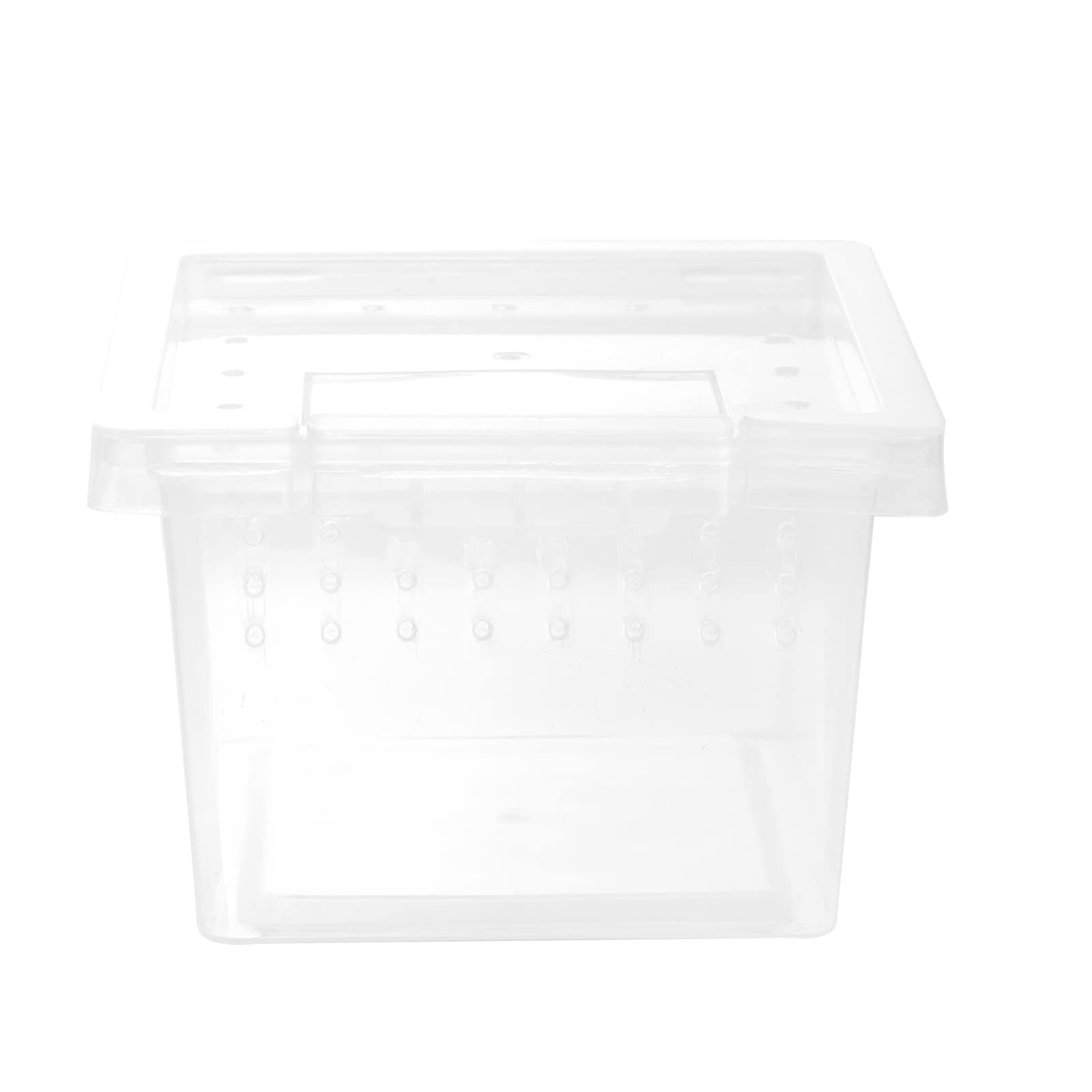 Clear Glass Reptile Terrarium & Feeding Box - Reusable Plastic Turtle Cage for Lizards, Geckos, Spiders & Snakes | Perfect for Hatching, Feeding & Habitat Enclosures