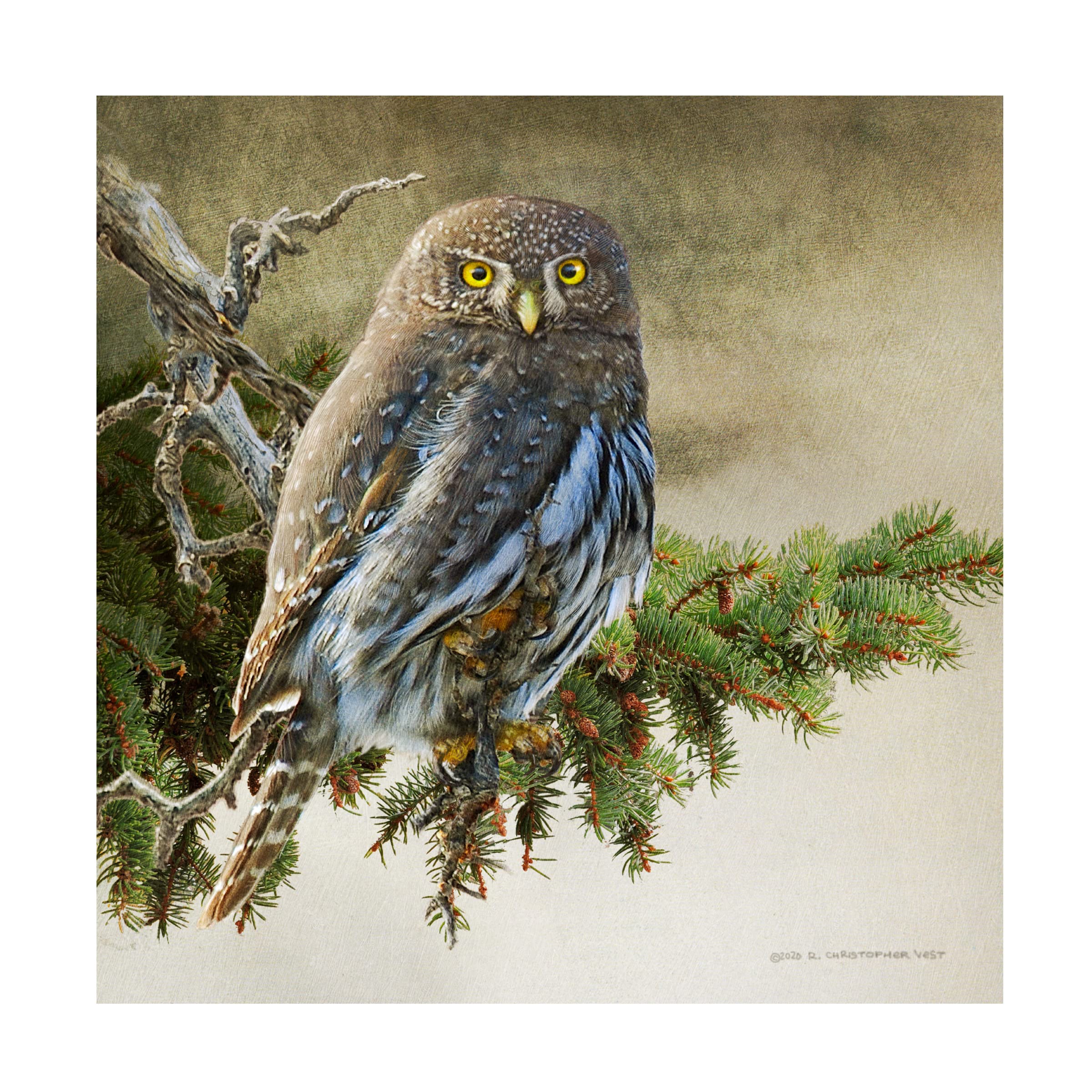 Chris Vest 'On the Branch VI' Canvas Wall Art Print - Modern Nature Landscape Painting for Living Room, Bedroom & Office Decor