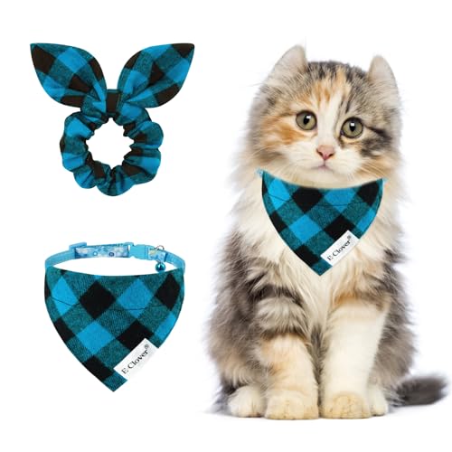 blue plaid
