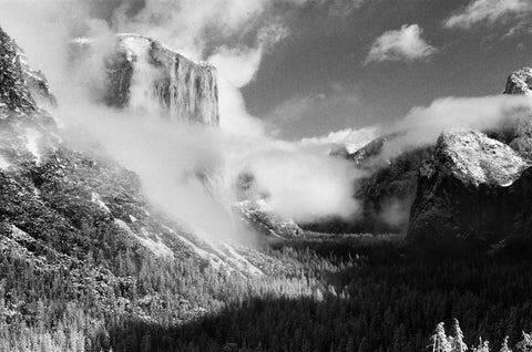 FPP BW IR 35mm Infrared Film for Film Photography - 1 Roll - Perfect for Vintage & Artistic Photography