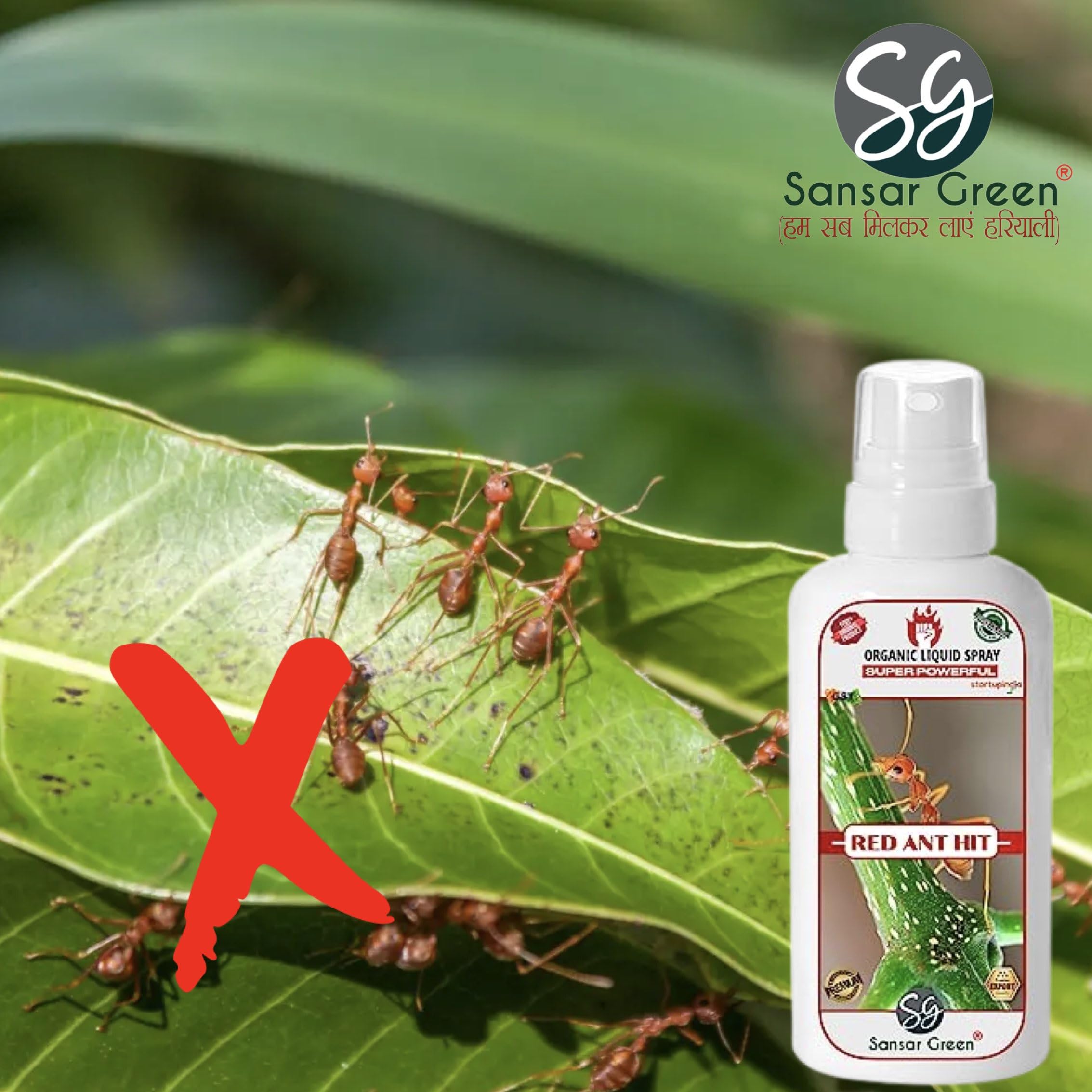 Sansar Green® Red Ant Killer Spray - Powerful Liquid Insecticide for Eliminating Red Ants & Pests on Plants (100ml) | Indoor & Outdoor Garden Protection