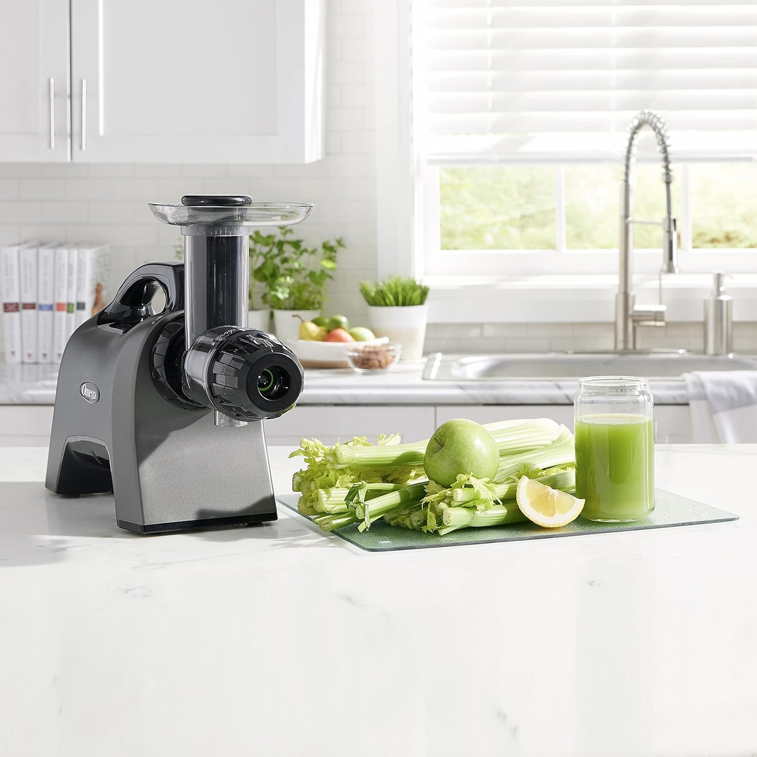 Omega Celery Juicer and Nutrition System - 200W Masticating Cold Press Juicer Machine with Adjustable Dial for Celery, Fruits & Vegetables - Perfect for Healthy Juicing at Home, Gym or Office (Silver)