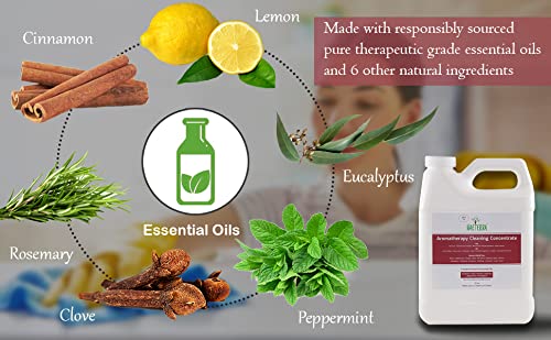Naeterra Aromatherapy Cleaning Concentrate – 1 Gallon | All-Purpose Multi-Surface Cleaner | Includes Microfiber Towel & Essential Oil Blend (Clove, Cinnamon, Lemon, Rosemary, Eucalyptus, Peppermint) | for Home, Kitchen, Bathroom, Office | Natural Disinfectant & Deodorizer