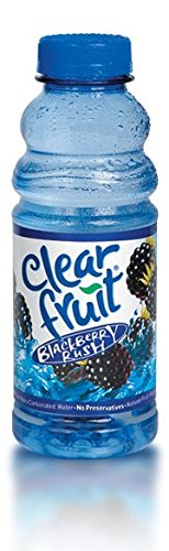 12 Pack Clear Fruit Water - 20 Ounce Bottles, Non-Carbonated Blackberry Flavored Beverage | Hydrating Drink for Gym, Office & Outdoor Activities