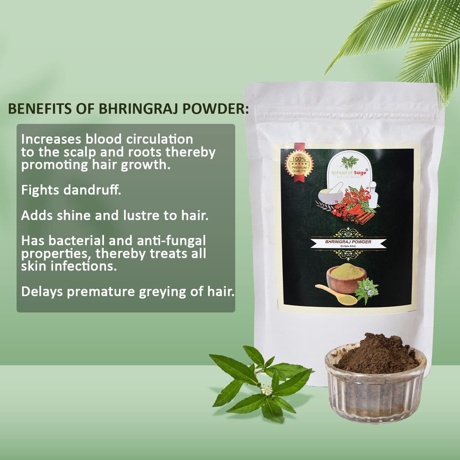 Organic Bhringraj Powder for Hair Growth - 100g (Pack of 2) - Ayurvedic Herbal Treatment for Hair Loss, Dandruff & Scalp Health - Perfect for DIY Hair Masks & Natural Hair Care Routines