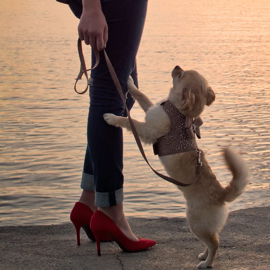 Premium Ultrasuede Dog Harness - Susan Lanci Designs Small Step-in Pet Vest for Small Dogs, Black - Perfect for Walking, Training & Outdoor Adventures