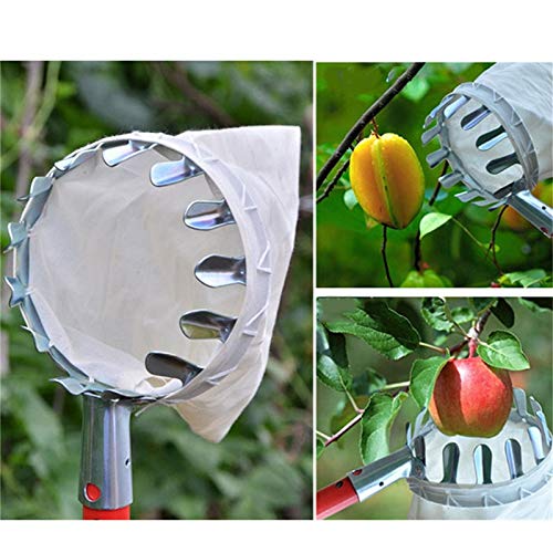 Best Fruit Picker Tool for Gardening - Easy to Use Apple & Peach Harvester with Extendable Pole - Perfect for Home Orchards, Backyard Harvesting, and Farm Use