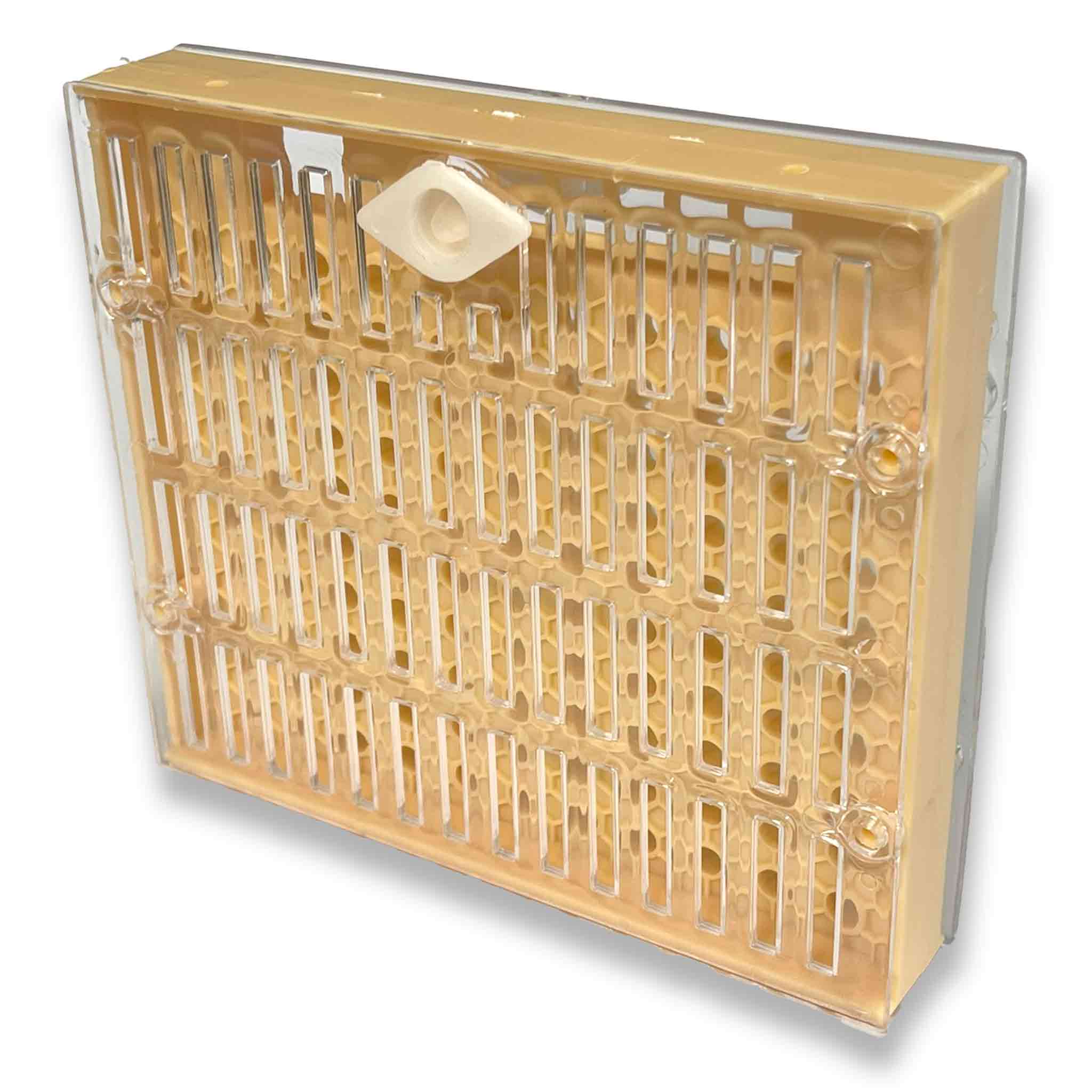 Queen Bee Nicolette Rearing Layer System Kit - Beekeeping Equipment for Honey Production & Hive Management | Perfect for Professional Beekeepers & Apiary Enthusiasts